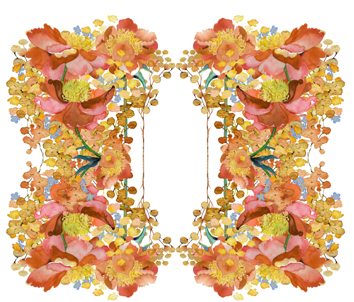 peonoies floral peter pan collar